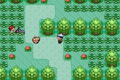 [PokeCommunity.com] Pok?mon Solar White - All New Hack!
