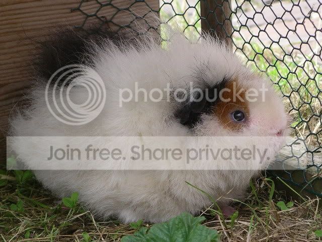 IMGP4782.jpg