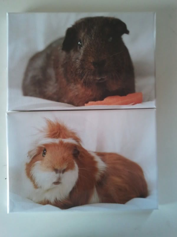 2011-12-28123051.jpg