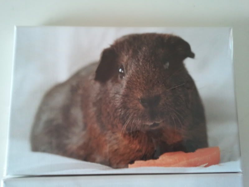 2011-12-28123116.jpg