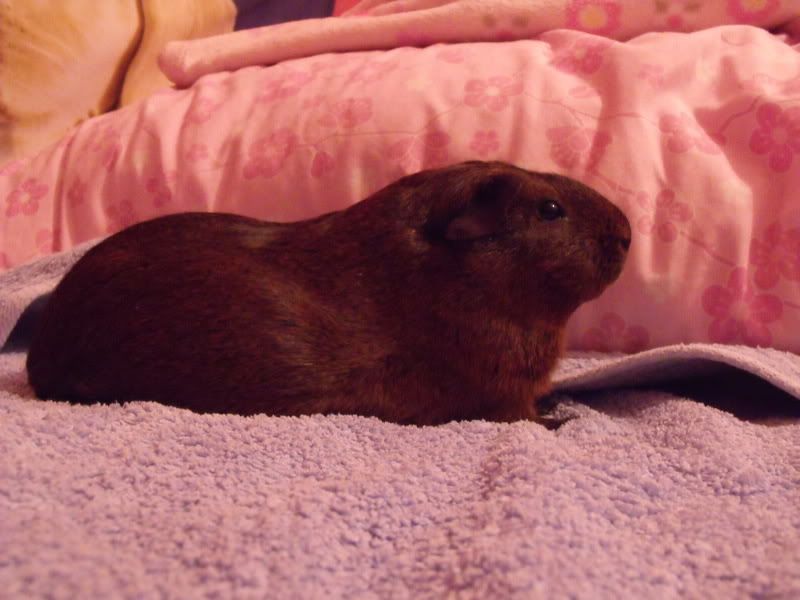 DSCF0577.jpg