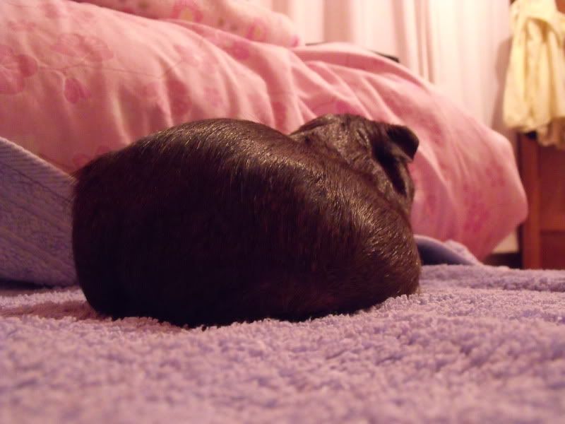 DSCF0578.jpg