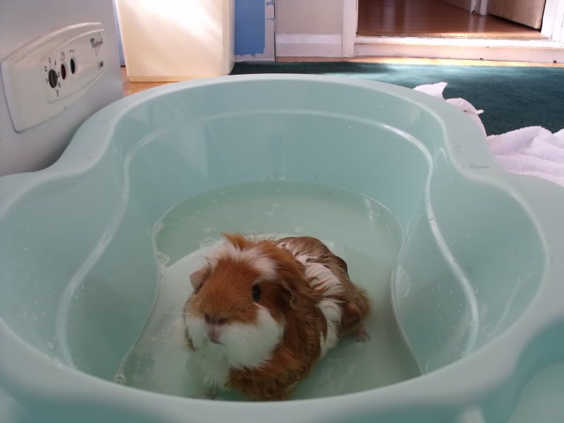 DSCF0600.jpg
