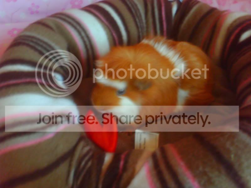 stuff014.jpg