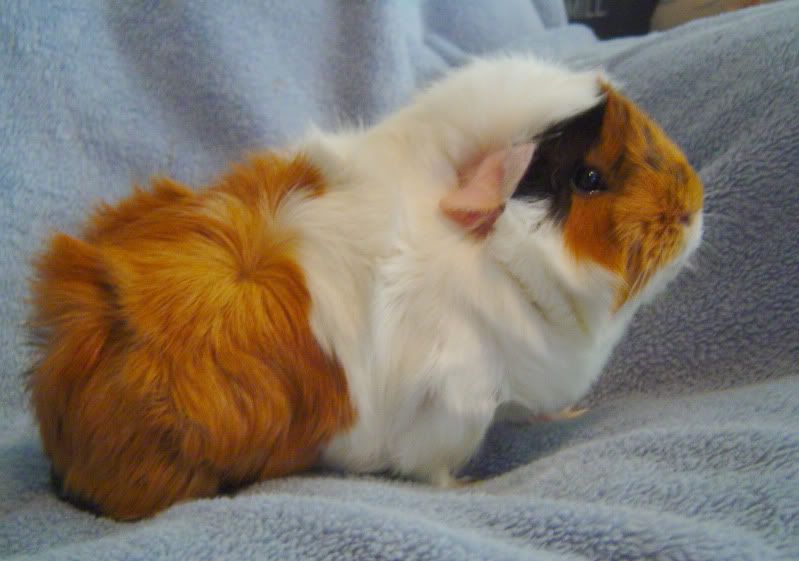 Abby001.jpg