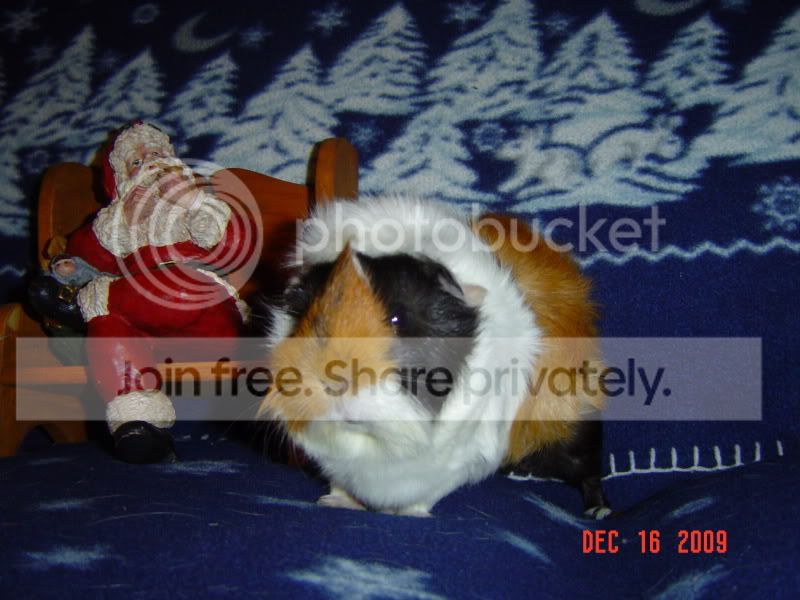 DSC03164.jpg