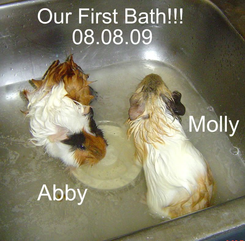 FirstBath.jpg