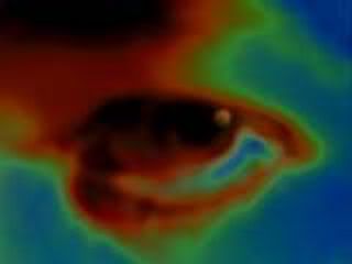 Image hosted by Photobucket.com