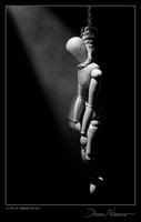 Image hosted by Photobucket.com